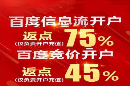 百度推广广告案例：快速抢占市场份额